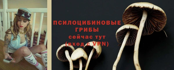 спайс Алзамай