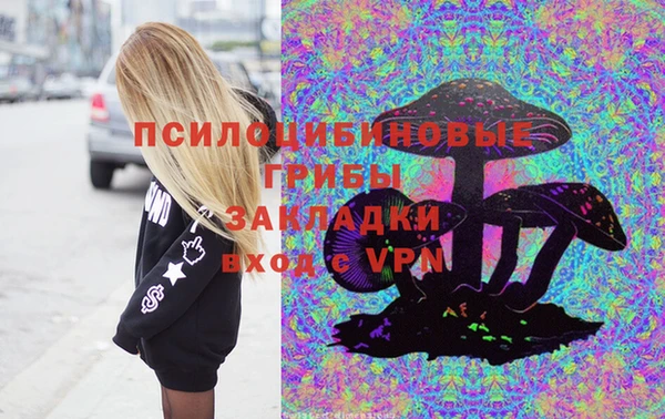гидра Алексеевка