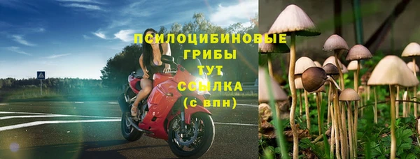 гидра Алексеевка