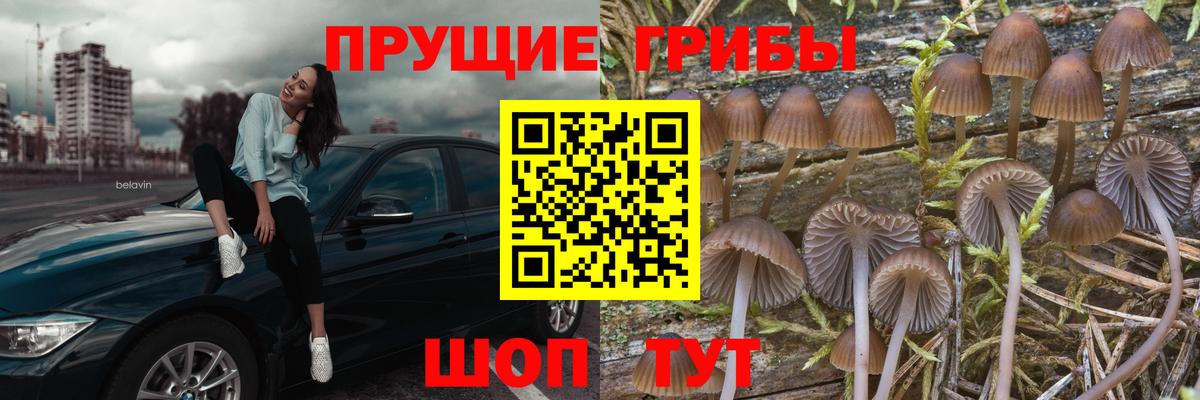 Бирск  Псилоцибиновые грибы Psilocybe  магазин продажи   Вход с VPN 